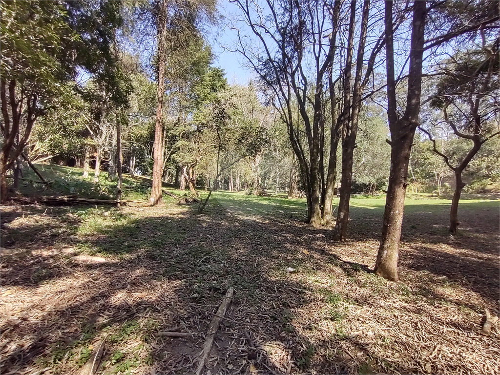Terreno com 2 casas de 2 quartos e benfeitorias