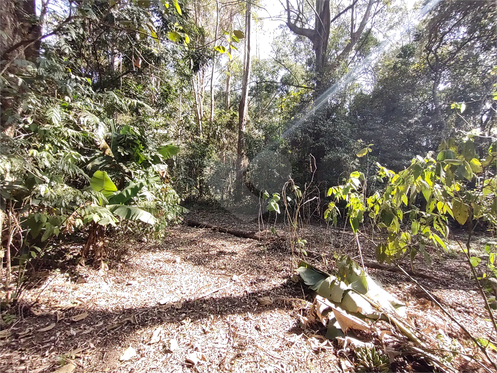 Terreno com 2 casas de 2 quartos e benfeitorias