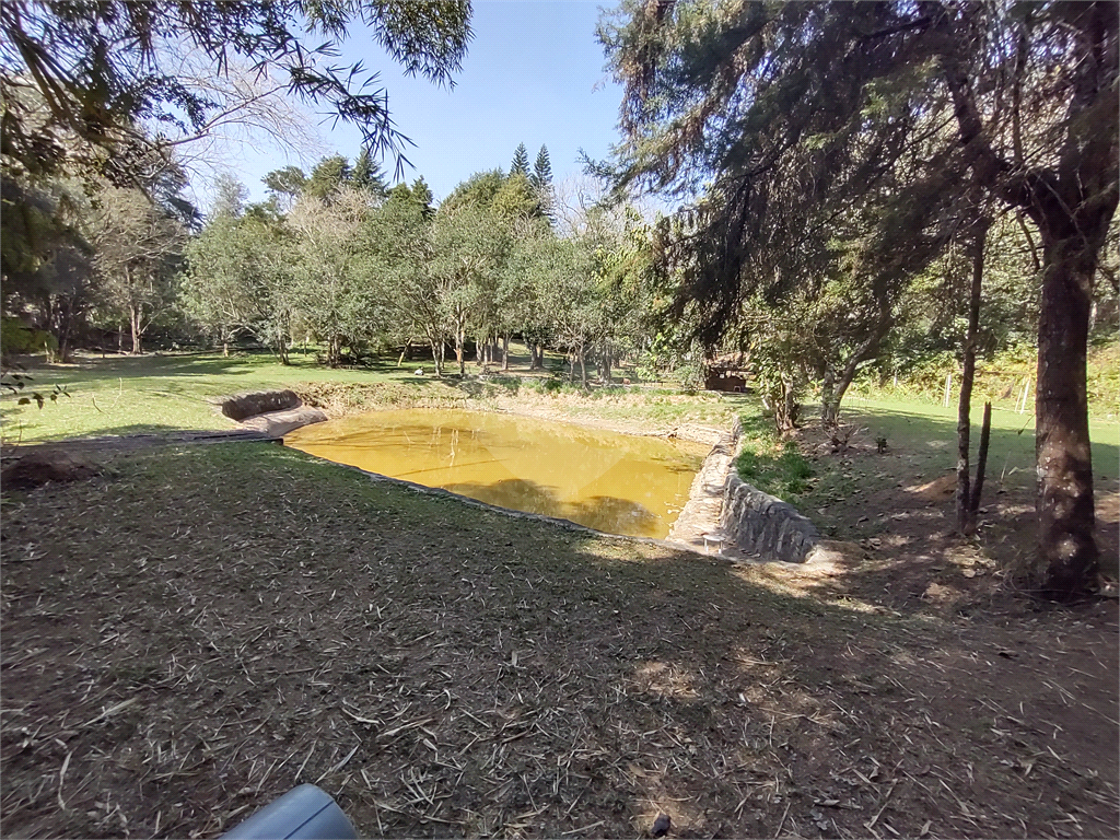 Terreno com 2 casas de 2 quartos e benfeitorias