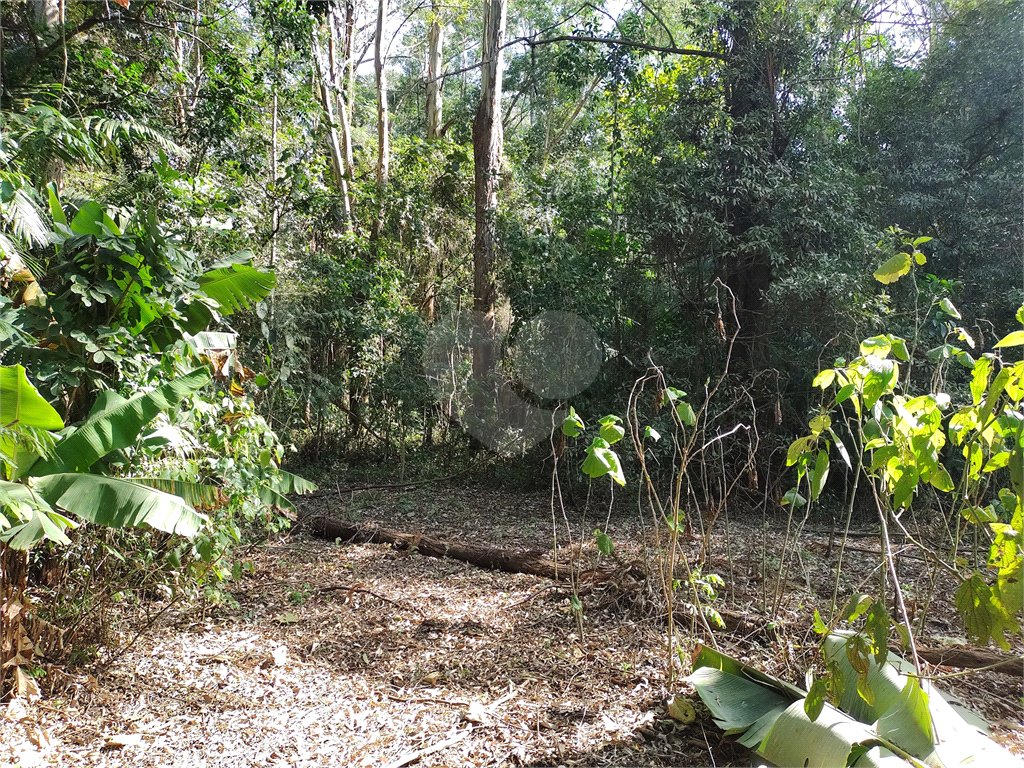Terreno com 2 casas de 2 quartos e benfeitorias