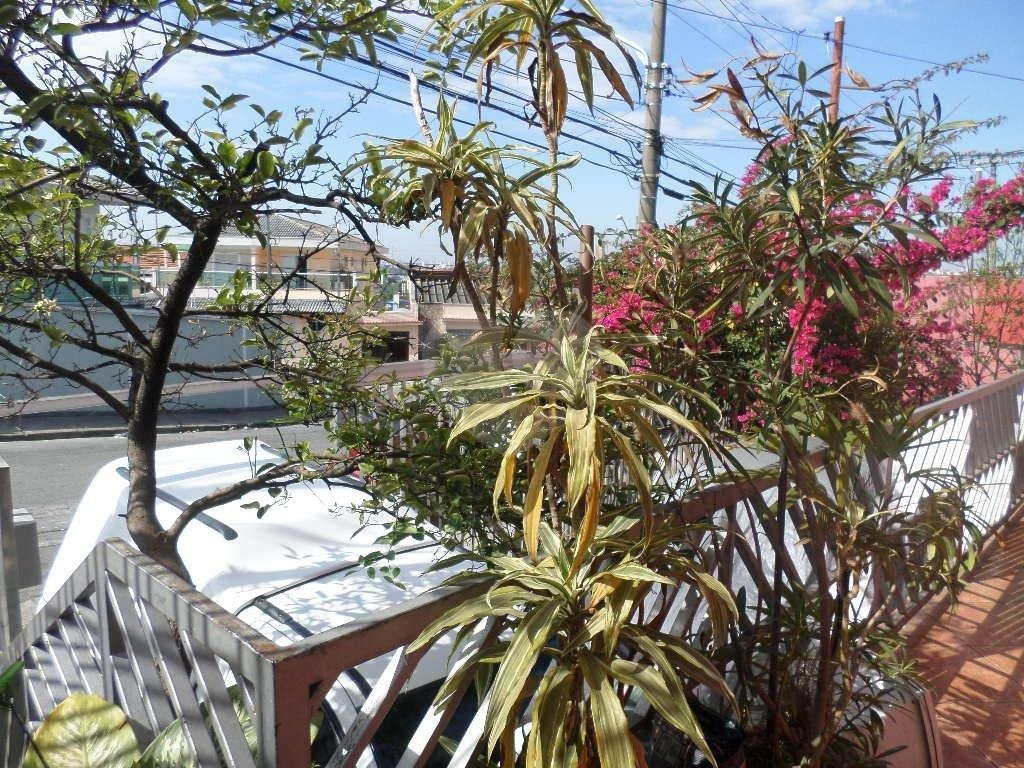 TERRENO em VILA NIVI
