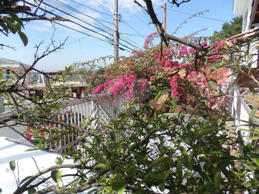 TERRENO em VILA NIVI
