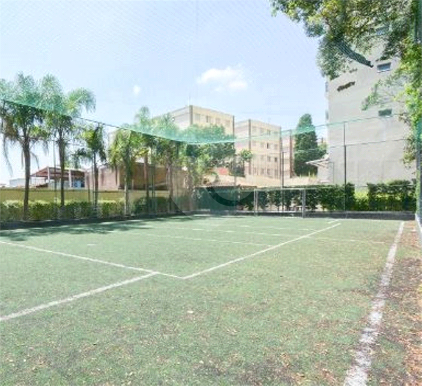 APARTAMENTO em PICANÇO