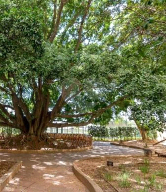 APARTAMENTO em PICANÇO