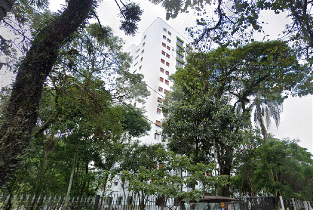 Oportunidade Imperdível. Apartamento com Vista Privilegiada da Serra da Cantareira