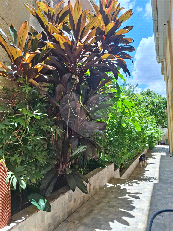 Ótimo sobrado localizado em uma das melhores regiões da Água Fria!