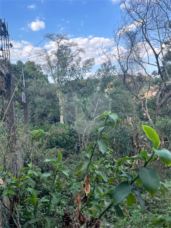 Terreno no pé da Serra da Cantareira