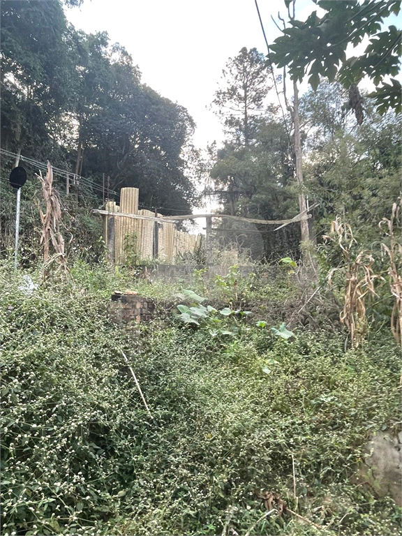 Terreno no pé da Serra da Cantareira