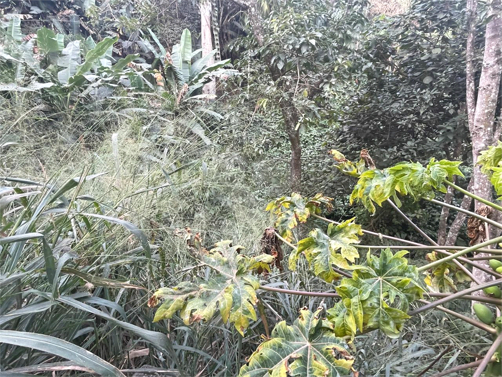 Terreno no pé da Serra da Cantareira