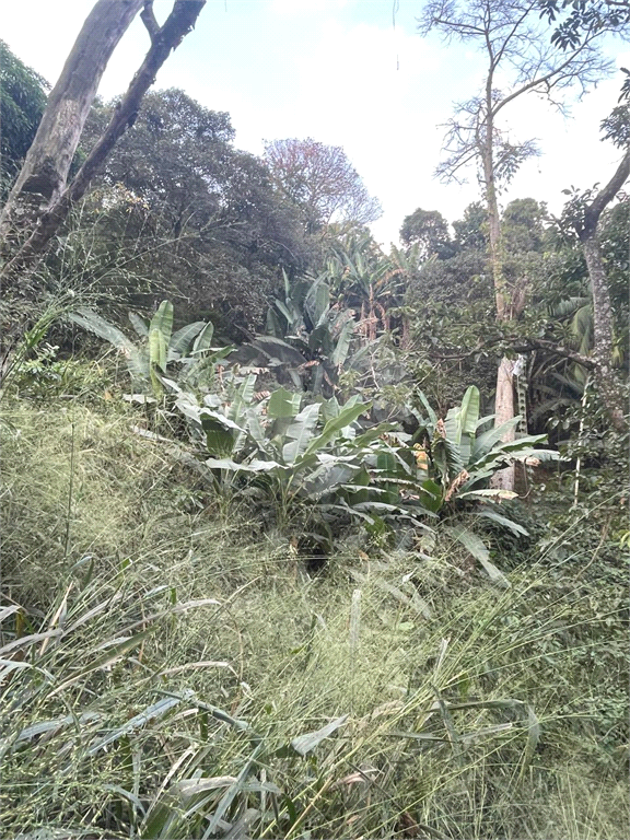 Terreno no pé da Serra da Cantareira