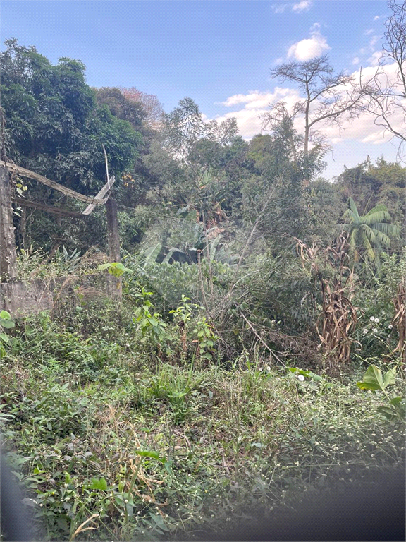 Terreno no pé da Serra da Cantareira