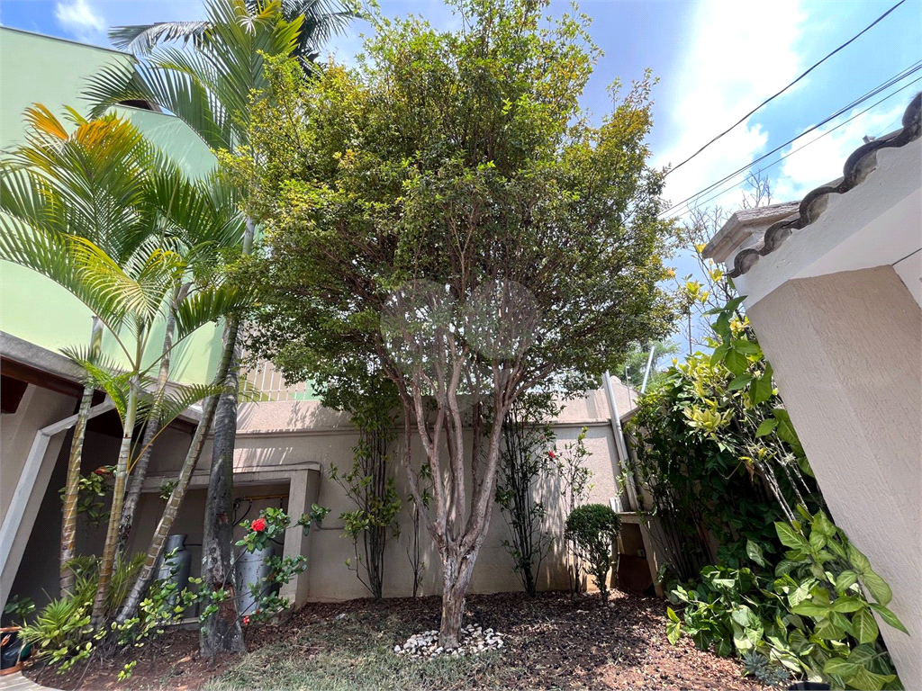 Casa Maravilhosa jardim Floresta - Venda