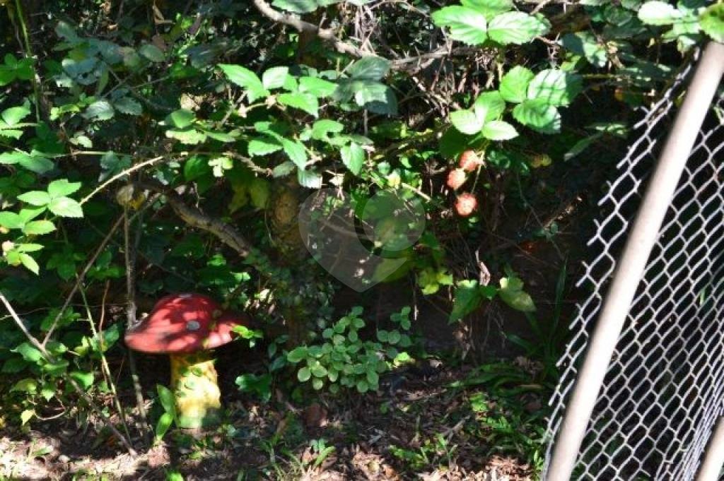 SOBRADO MARAVILHOSO A VENDA NA PARADA INGLESA - ENTRE OS METRÔS PARADA INGLESA E TUCURUVI