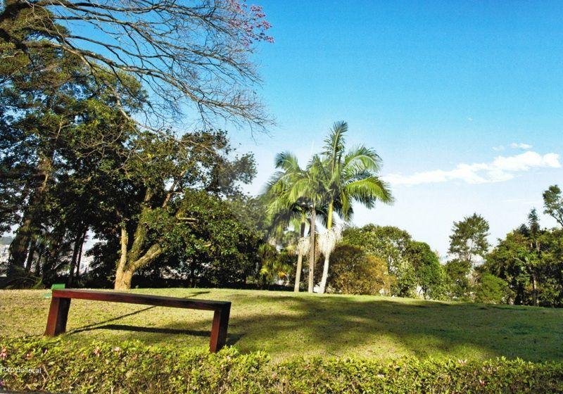 Terreno à venda na Vila Irmãos Arnoni