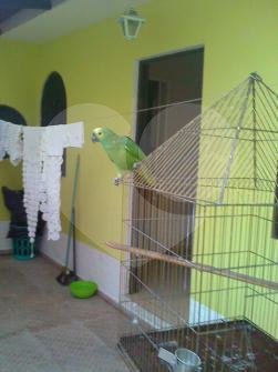 CASA TÉRREA em TREMEMBÉ