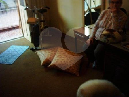 CASA TÉRREA ASSOBRADADA A VENDA EM SANTANA - 3 DORMITÓRIOS E 4 VAGAS
