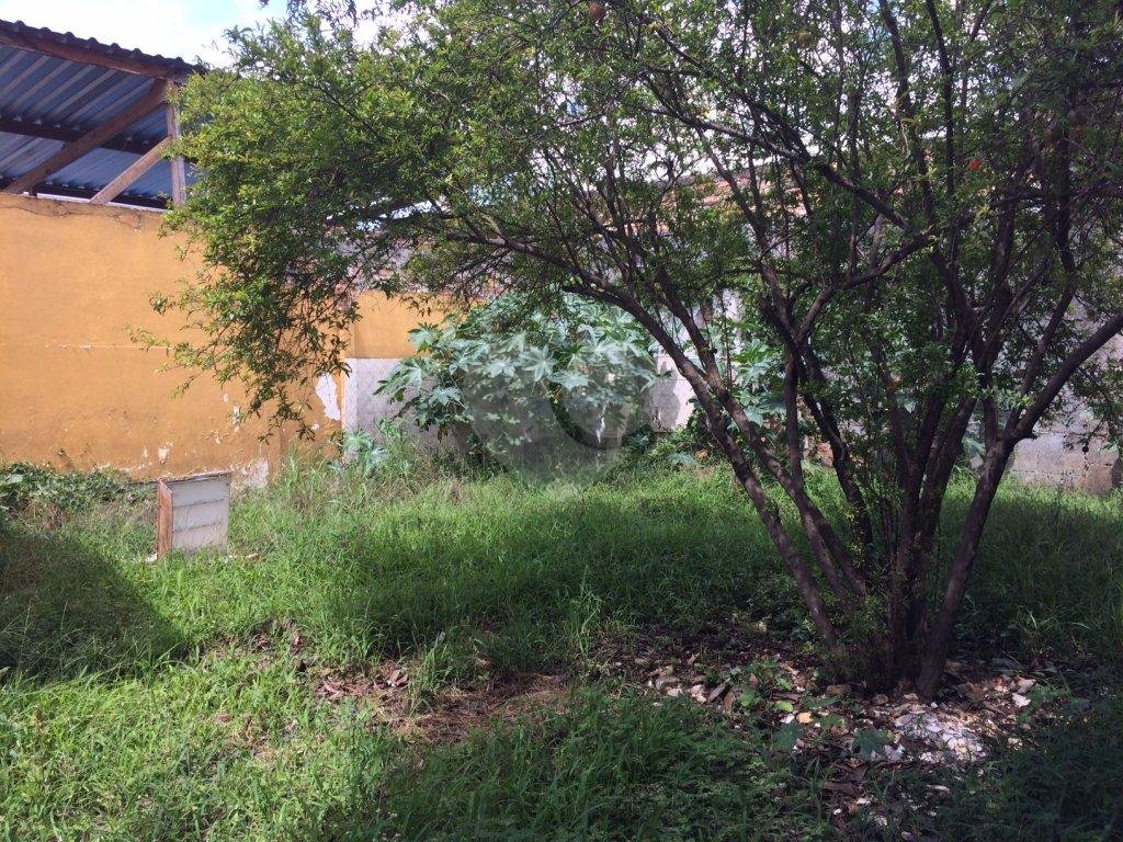 TERRENO em CARANDIRU
