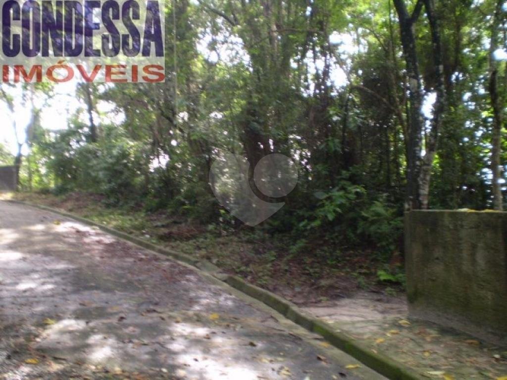 TERRENO em TUCURUVI
