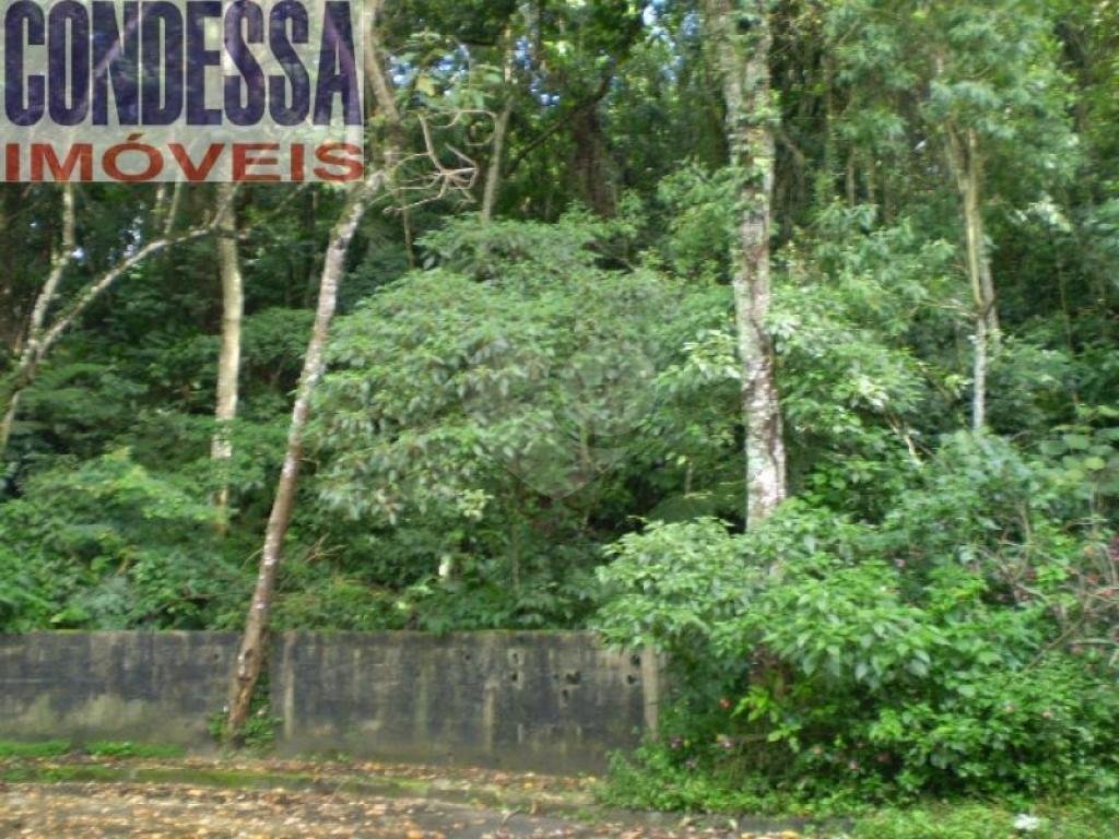 TERRENO em TUCURUVI