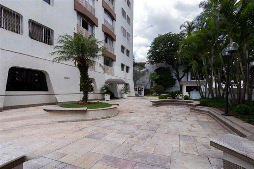 Excelente apartamento para venda Mandaqui, SP