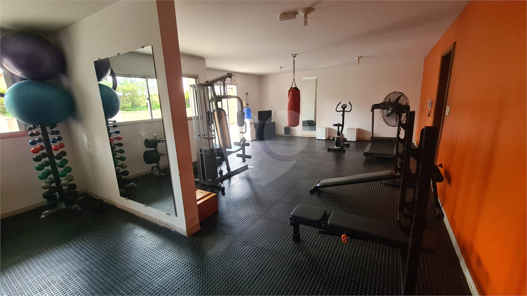 apartamento Santana 03 suites