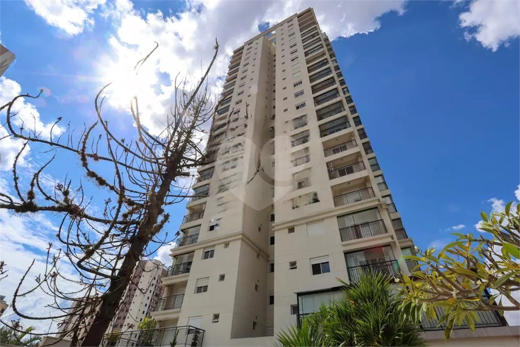 Apartamento Santana 3 suites e 3 vagas de garagem. 