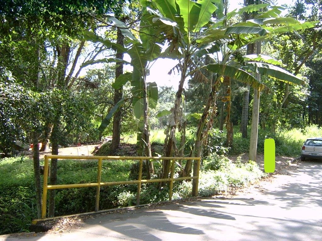 SOBRADO MARAVILHOSO A VENDA NO BUTANTÃ - 3 QUARTOS (1 SUÍTE) E 8 VAGAS DE GARAGEM