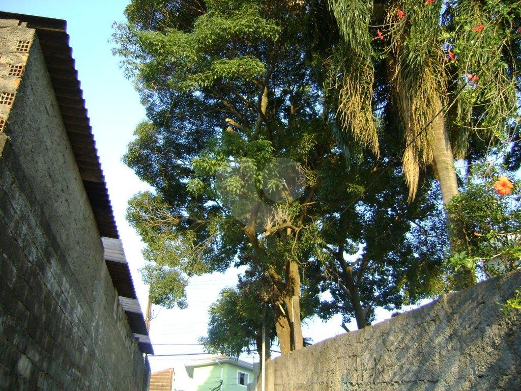TERRENO em BUTANTÃ