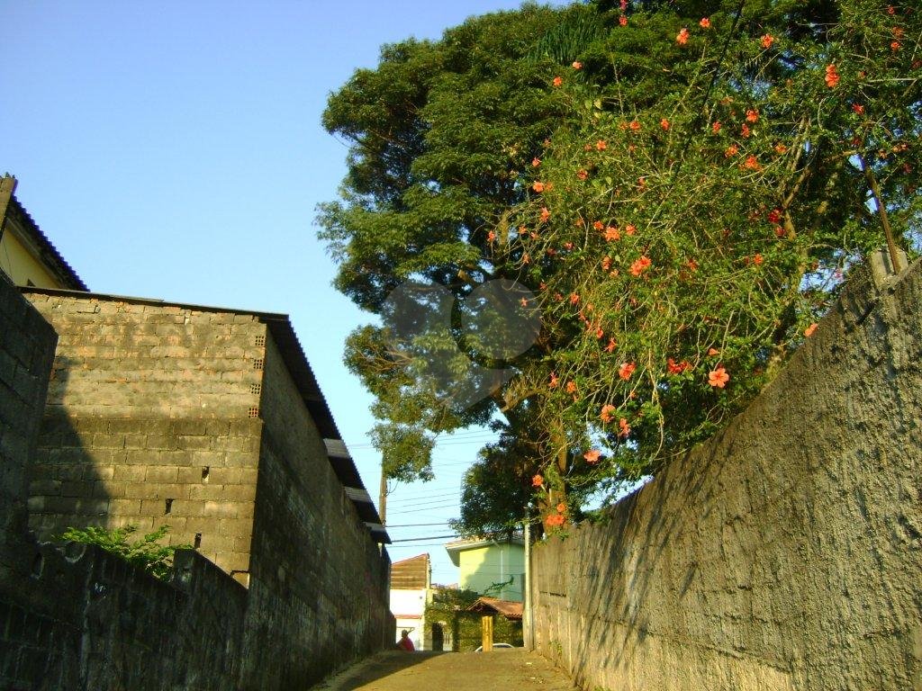 TERRENO em BUTANTÃ