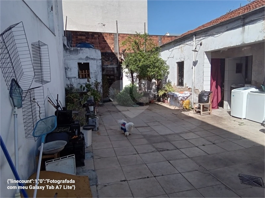 Terreno entre aos metrôs Parada Inglesa e Tucuruvi