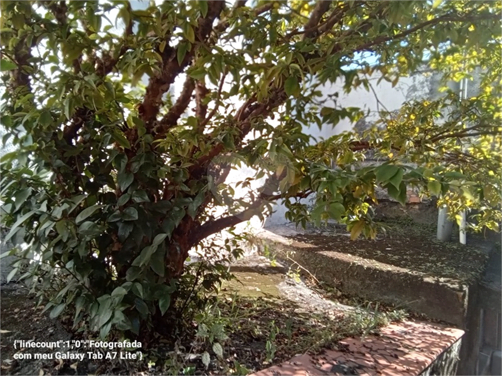 Terreno entre aos metrôs Parada Inglesa e Tucuruvi