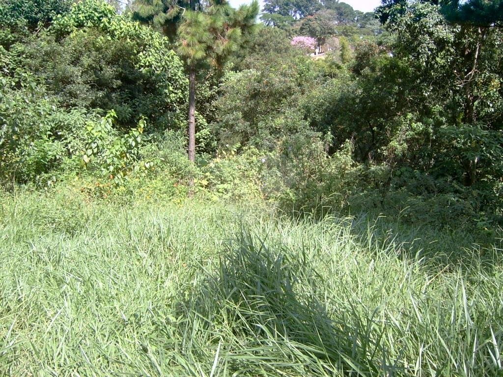  LOJA/GALPÃO ,265 METROS QUADRADOS DE TERRENO E 250 METROS DE CONSTRUÇÃO COM MEZANINO , 
