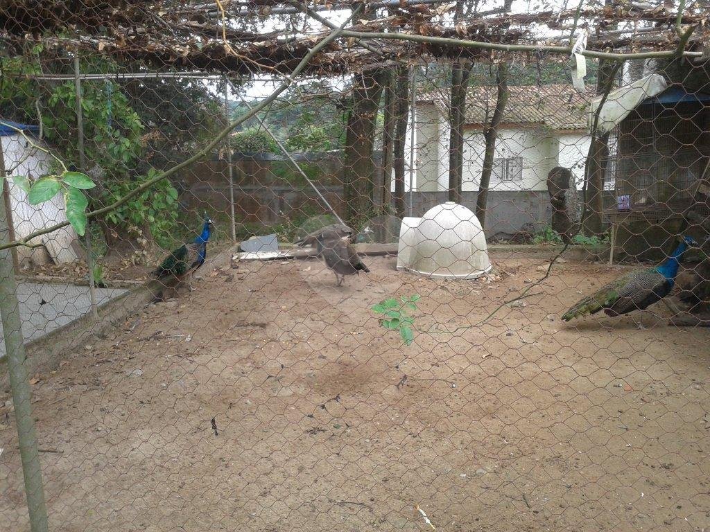  CONSTRUTOR OPORTUNIDADE ! ÁREA PARA CONDOMÍNIO DE  CASAS  ALTO PADRÃO - HORTO FLORESTAL