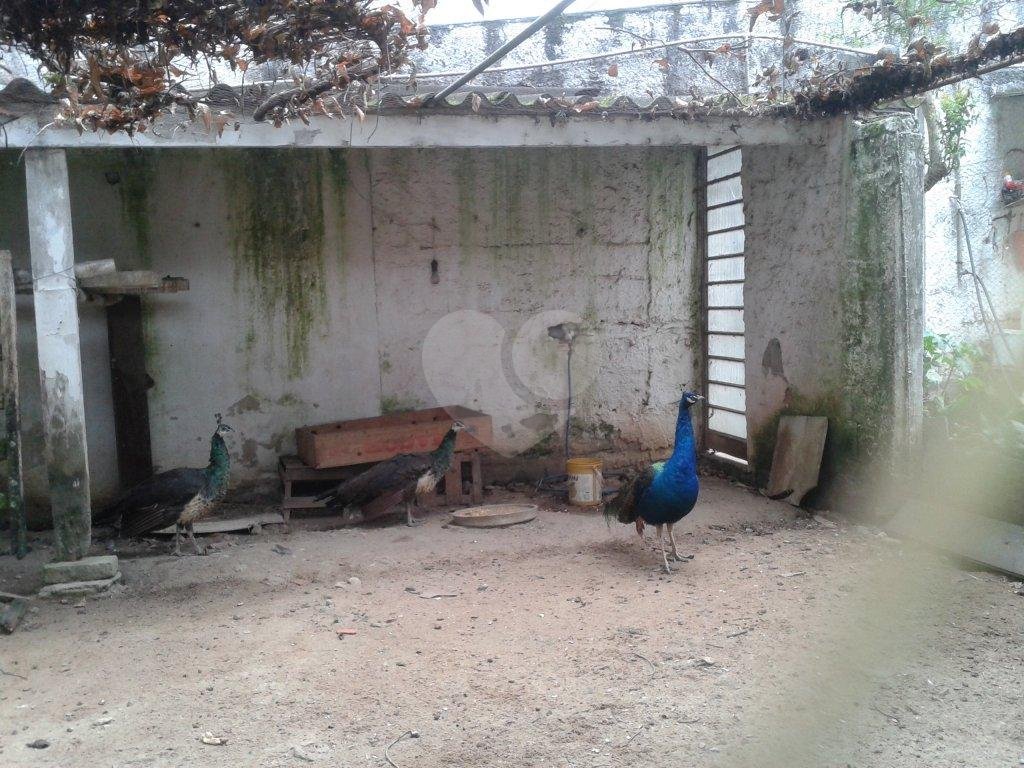  CONSTRUTOR OPORTUNIDADE ! ÁREA PARA CONDOMÍNIO DE  CASAS  ALTO PADRÃO - HORTO FLORESTAL