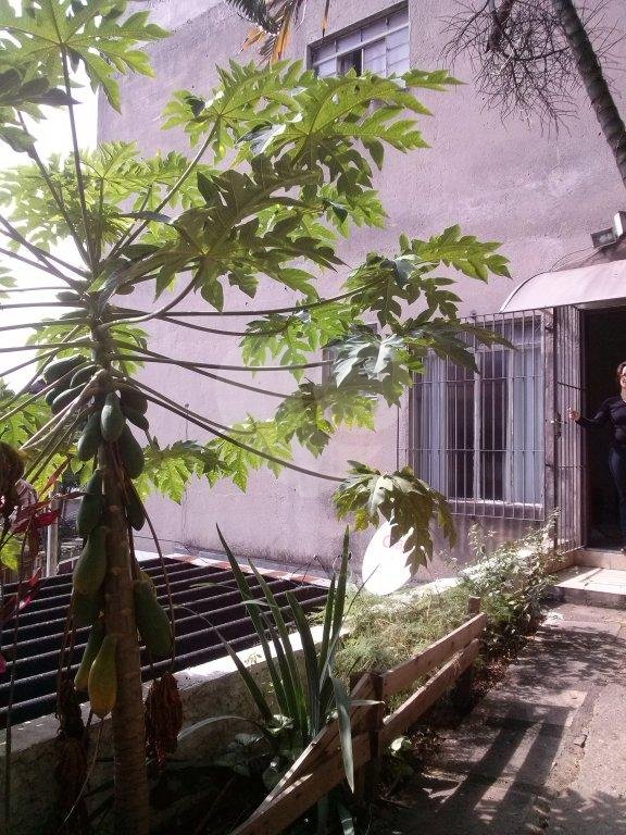 PRÉCIO COMERCIAL / RESIDENCIAL A VENDA NA VILA NOVA CACHOEIRINHA