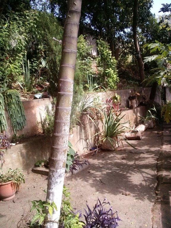 PRÉDIO COMERCIAL A VENDA NA VILA NOVA CACHOEIRINHA - 580M2 DE TERRENO