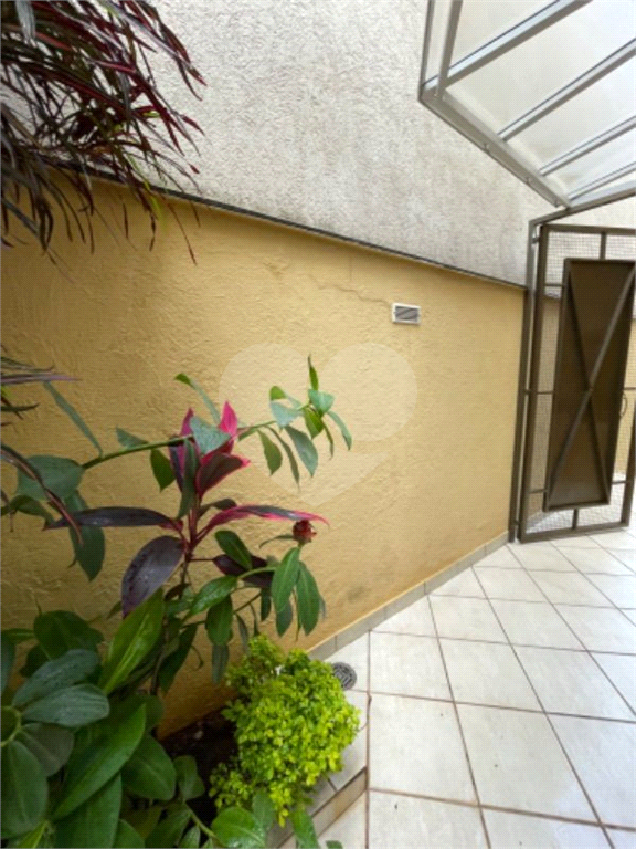 Casa no alto de Santana