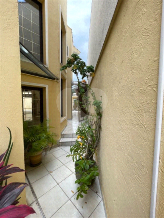 Casa no alto de Santana