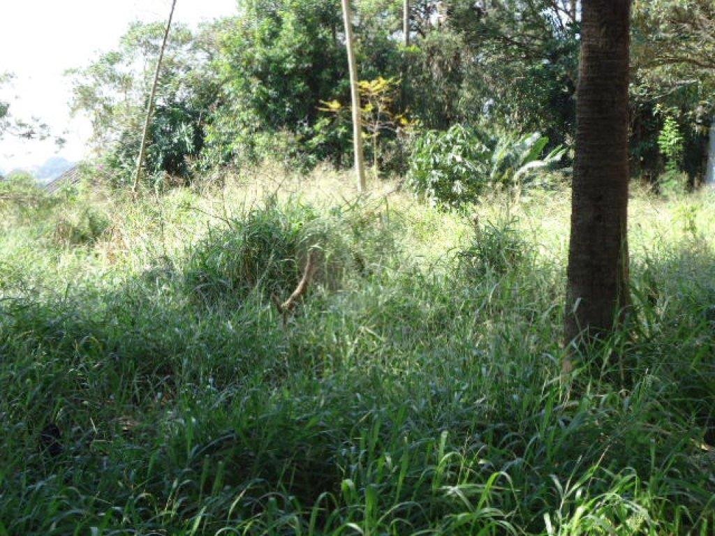 TERRENO MARAVILHOSO A VENDA NO TREMEMBÉ - 1.080M2 DE ÁREA