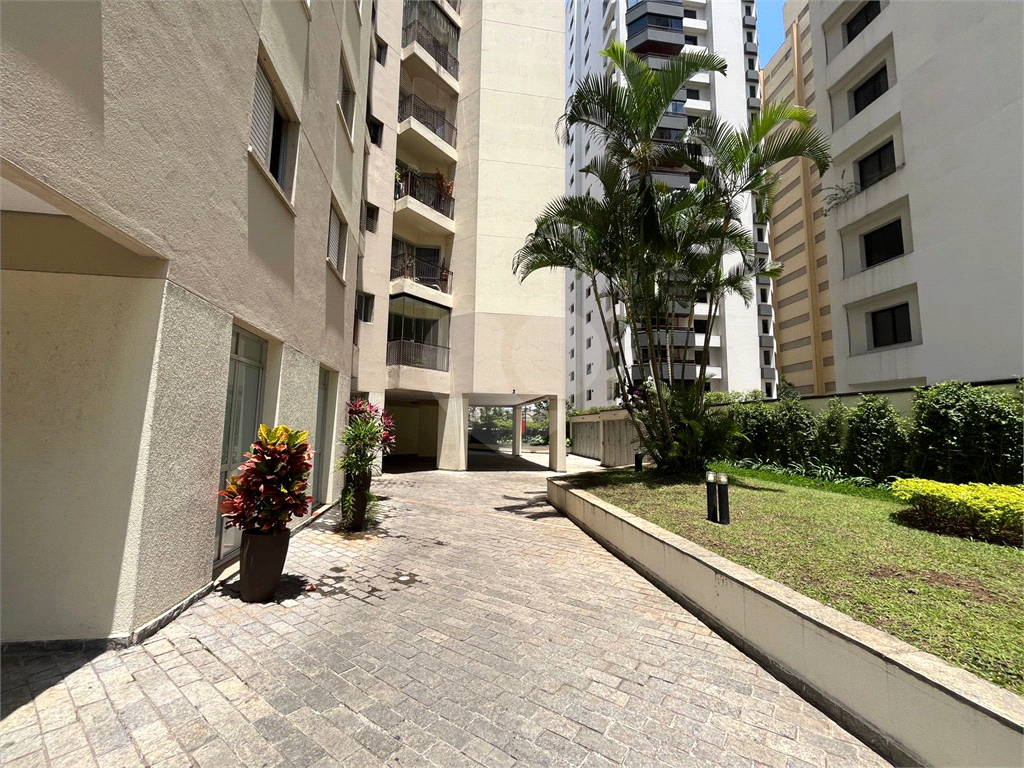 Apartamento à venda e aluguel com 3 quartos, 75m² - Foto 2