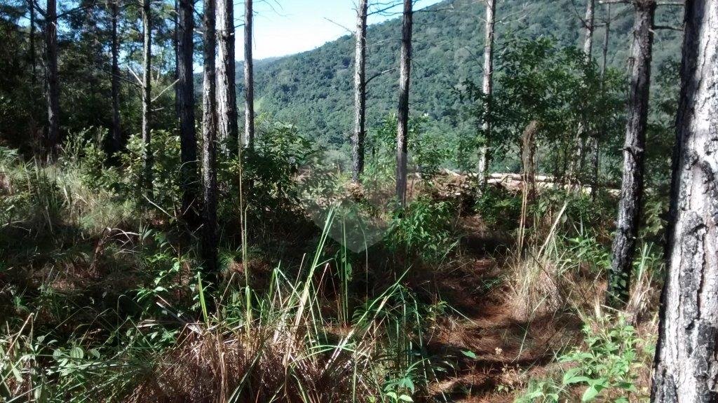 Terreno com represa particular.