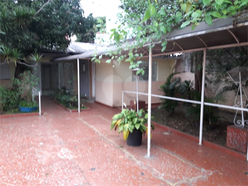 CASA TERREA NA PARADA INGLESA COM MUITOS COMODOS E EDICULA