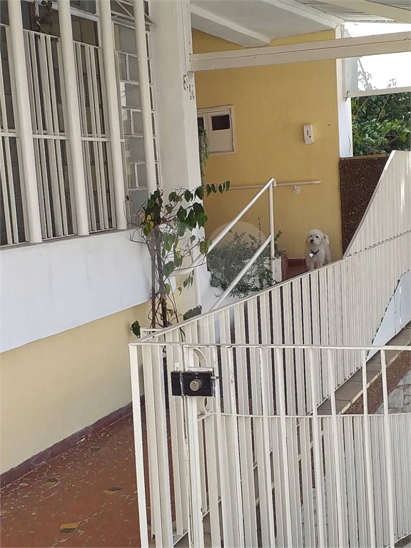 CASA TERREA NA PARADA INGLESA COM MUITOS COMODOS E EDICULA