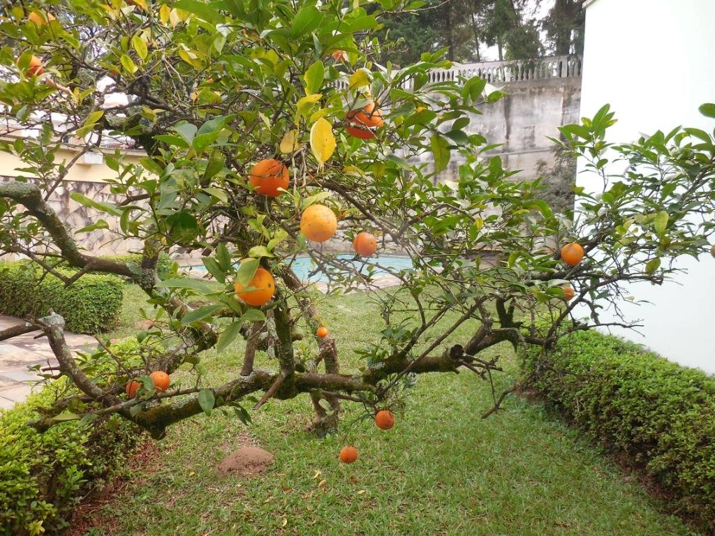 JARDIM FRANÇA MARAVILHOSA RESIDENCIA  térrea à venda com imenso espaço verde!!