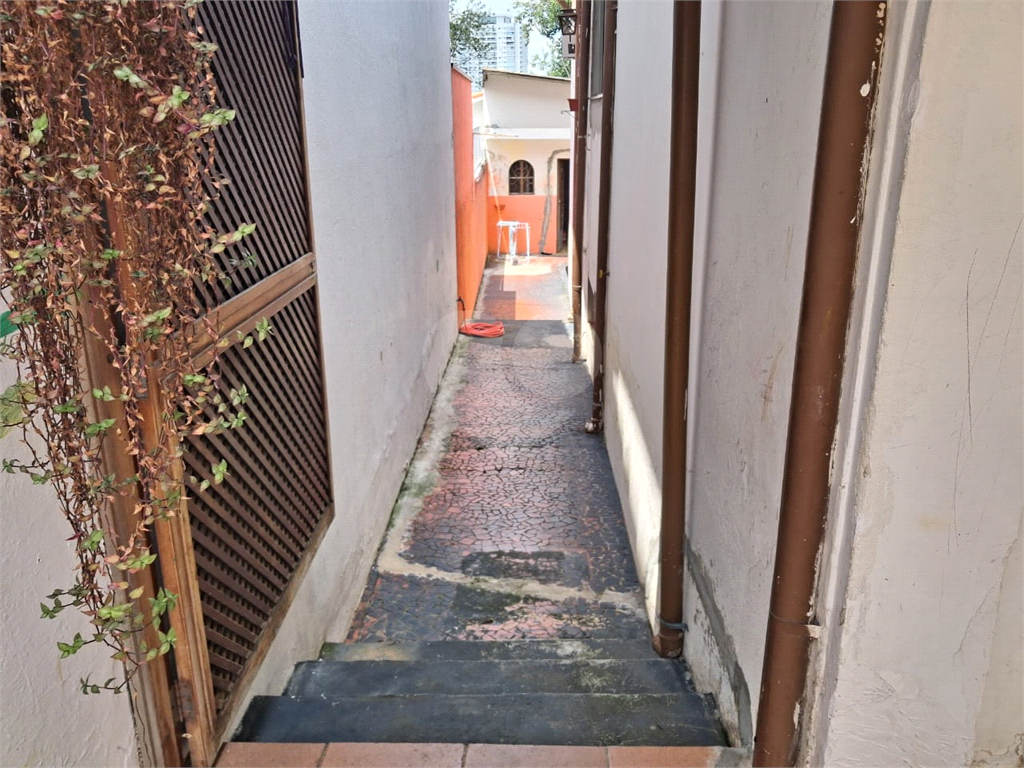 Casa térrea e muito verde na City Lapa
