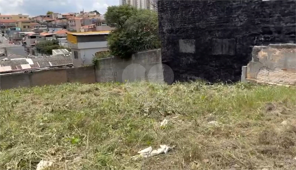 TERRENO em VILA GUILHERME