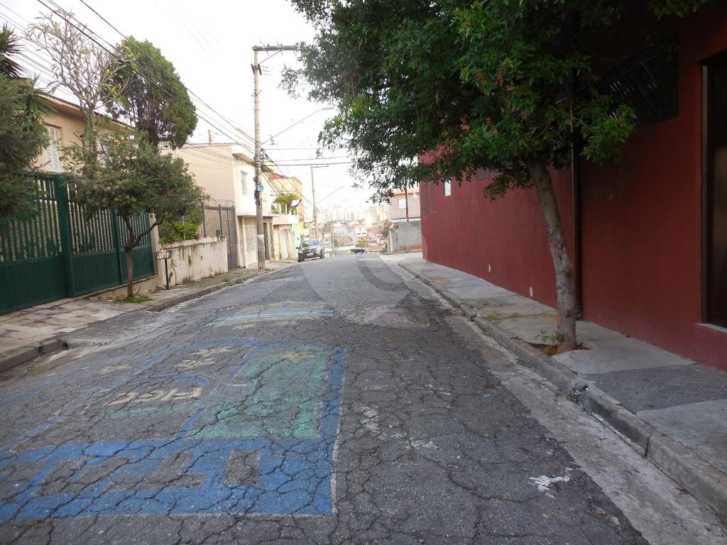 TERRENO PLANO 10 X 30