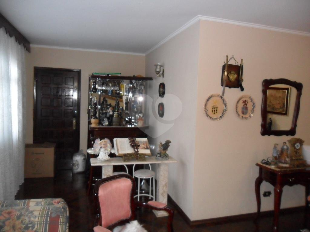 Exuberante no Horto Florestal