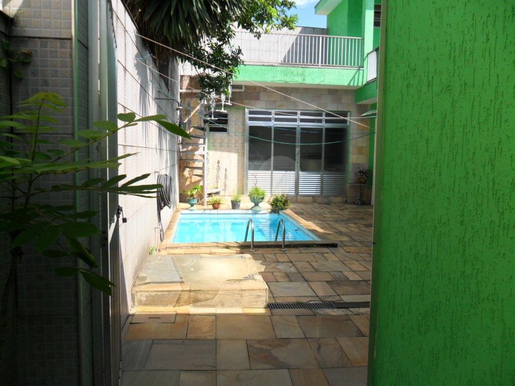 Exuberante no Horto Florestal