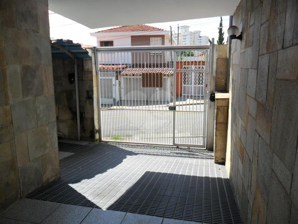 Exuberante no Horto Florestal